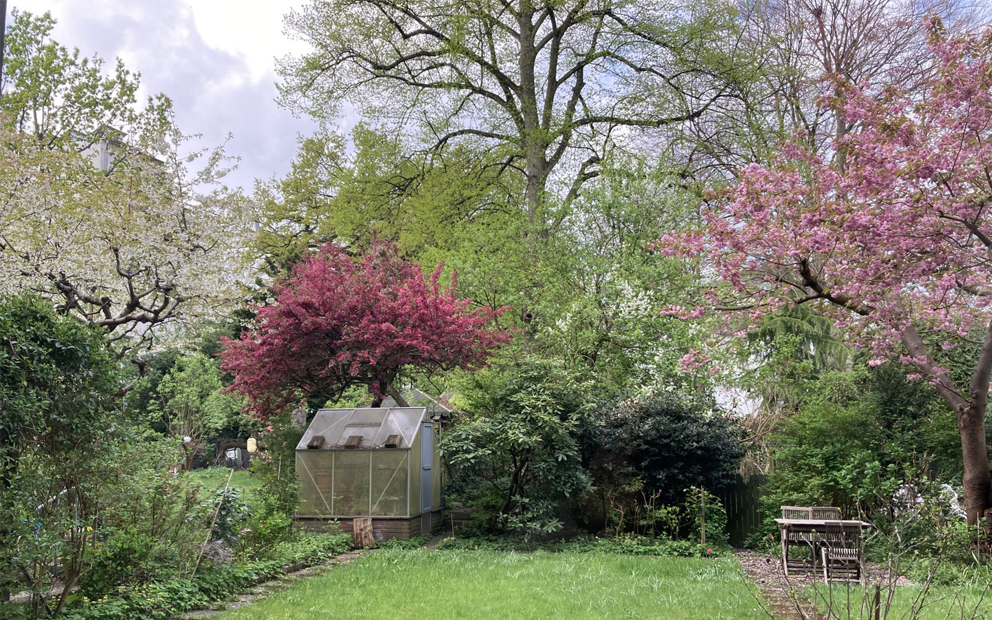 Blick in den Garten